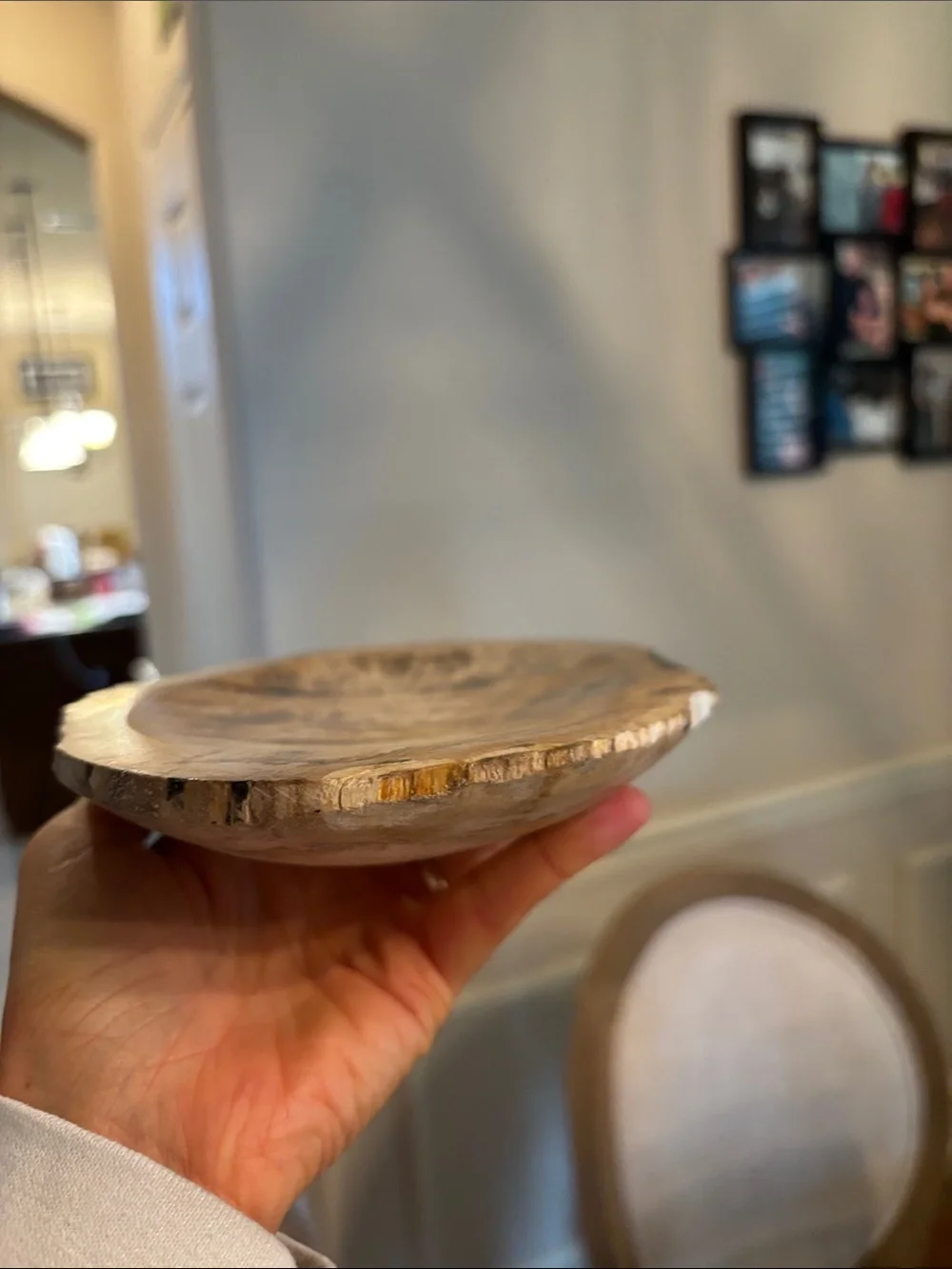 Mini West Elm Charcuterie Board Petrified Wood MSRP $ 69.50
